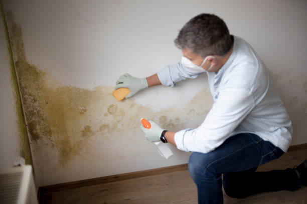 Best Crawl Space Mold Remediation  in Surf City, NJ