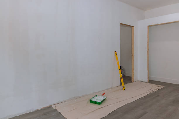 Best Mold Damage Restoration  in Surf City, NJ