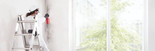 Best Environmental Consulting for Mold Prevention  in Surf City, NJ