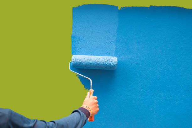 Best Forensic Mold Investigation  in Surf City, NJ