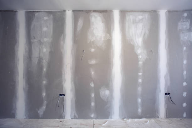Best Commercial Mold Inspection  in Surf City, NJ